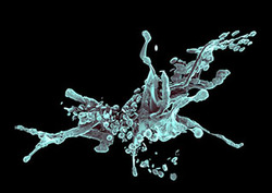 Apoptosis Instructional Video