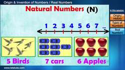 The History and Types of Numbers: From Tally Marks to Real Numbers Instructional Video
