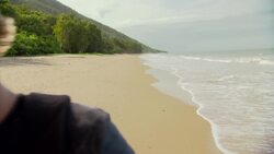 Diving for Cone Snails Instructional Video