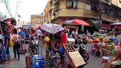 Impact of the 1991 Mount Pinatubo Eruption Instructional Video