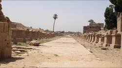 Egypt, Luxor - Karnak Temple - Southern Dromos Stock Footage