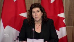 Canada's auditor general says country 'was not well prepared' to face the pandemic News Clip