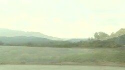 CLEAN : Crocodiles Fidel, Osama and Donald fight for territory in Costa Rican waters News Clip