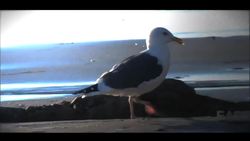 NASA | Earth Science Week 2009: Trailer 1 Instructional Video