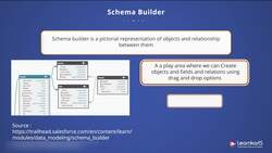 Salesforce Platform App Builder Certification Training - Schema Builder Instructional Video