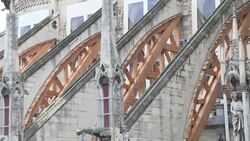 CLEAN : Notre Dame repair must not be delayed says French diocese News Clip