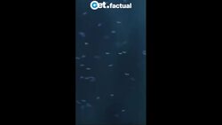 Mosquitoes - A Modern Day Bible Plague? | Get.factual #shorts Instructional Video