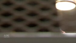 Lingering drought forces ranchers to downsize herds News Clip