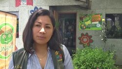 VOICED : Decenas de ranas gigantes amenazadas nacen en cautiverio News Clip