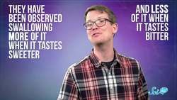 Your Favorite Food May Have Been Decided Before Birth Instructional Video