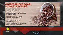 Global coffee market shifts to 'survival mode' News Clip