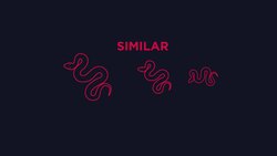 Similar & Congruent Shapes Instructional Video