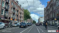 TED: How cities are detoxing transportation | Monica Araya Instructional Video