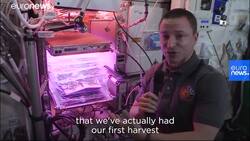 Ask our Astronaut | How does farming work in space? News Clip