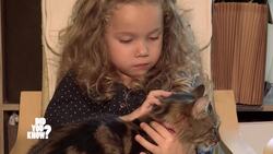The Healing Powers of Pets: Purring Therapy and Cancer Detection Instructional Video