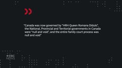 Clinical social worker temporarily stripped of registration for supporting conspiracy theories News Clip