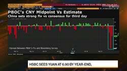 HSBC Joey Chew on FX Outlook News Clip
