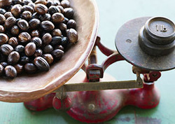 The Arabic Science of Balancing Instructional Video