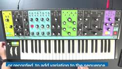 How To: Create A Rave Style Patch With The Moog Matriarch Instructional Video