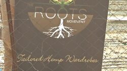 CLEAN : First industrial hemp crop planted in Zimbabwe News Clip