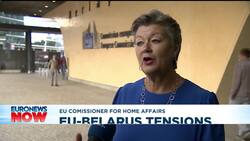 Poland carried out migrant push-back at Belarus border, Amnesty says News Clip