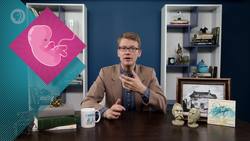 Personhood: Crash Course Philosophy Instructional Video