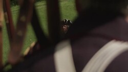 Revolutionary war officer addressing soldiers Stock Footage