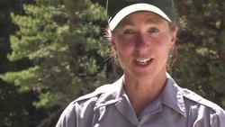 Yosemite Nature Notes 27: Bighorn Sheep Instructional Video