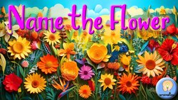 Name the Flower Game Instructional Video