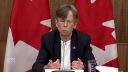 TSB wants more answers on destruction of Ukrainian Airlines Flight PS752 News Clip