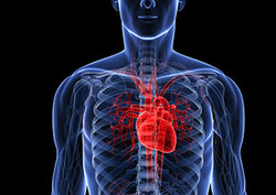 Aorta Instructional Video