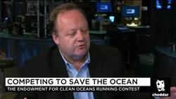 Endowment Offers $1 Million for Tech to Get Plastic Out of Oceans News Clip
