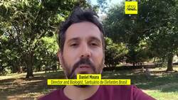 Brazil elephant sanctuary welcomes its newest resident, rescued from a zoo in Argentina Instructional Video