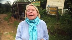 COVID-19 puts Africa's mountain gorillas at risk News Clip