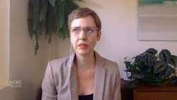 Tech CEOs testify before congress News Clip