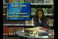 Business Law: Introduction to Business Law Instructional Video