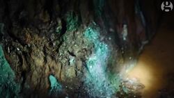 Queenstown Navigates Uncertainty Amidst Mine Closure Instructional Video