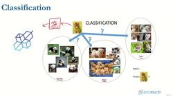 Data Science and Machine Learning (Theory and Projects) A to Z - Introduction to Machine Learning: Classification Training Process and Prediction Probabilities Instructional Video