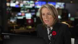 UN co-ordinator describes Gaza humanitarian crisis News Clip