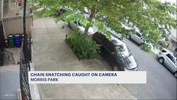Morris Park residents on edge after video shows chain snatching in broad daylight News Clip