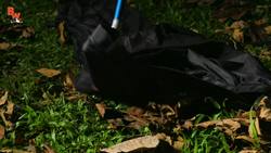 Fangs of the Largest Pit Viper Snake! Instructional Video