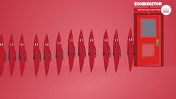 Are Giant Insects Larger Than Humans Possible? Instructional Video