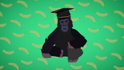 I WONDER - How Clever Are Gorillas? Me Pregunto - Qué Tan Inteligentes Son Los Gorilas? Instructional Video