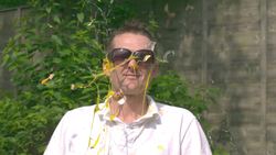 Egg Destruction - The Slow Mo Guys Instructional Video