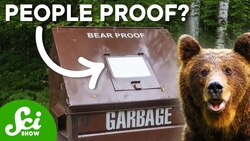 Why Can't We Design A Bear-Proof Trash Can? Instructional Video