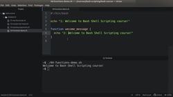 Bash Shell Scripting - Functions - The Basics Instructional Video