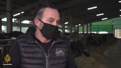 Italian cheese defies business woes News Clip