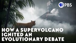 How a Supervolcano Ignited an Evolutionary Debate Instructional Video