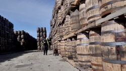 CLEAN : Sniffer dog wins hearts at Scottish whisky distillery News Clip