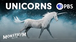 Unicorns: Magical Icons or Violent Beasts? Instructional Video
